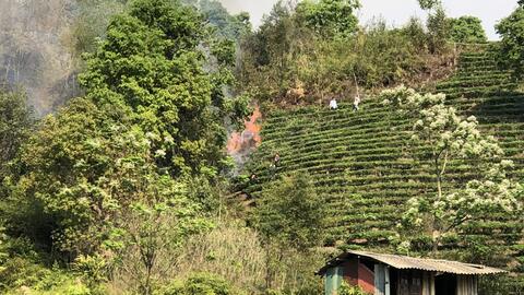 Công điện khẩn về việc tăng cường các biện pháp cấp bách phòng cháy, chữa cháy rừng trên địa bàn thành phố Lai Châu