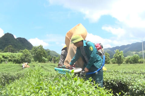 Phát triển kinh tế có chọn lọc – điểm sáng trong thực hiện Nghị quyết Đại hội Đảng bộ xã Sùng Phài